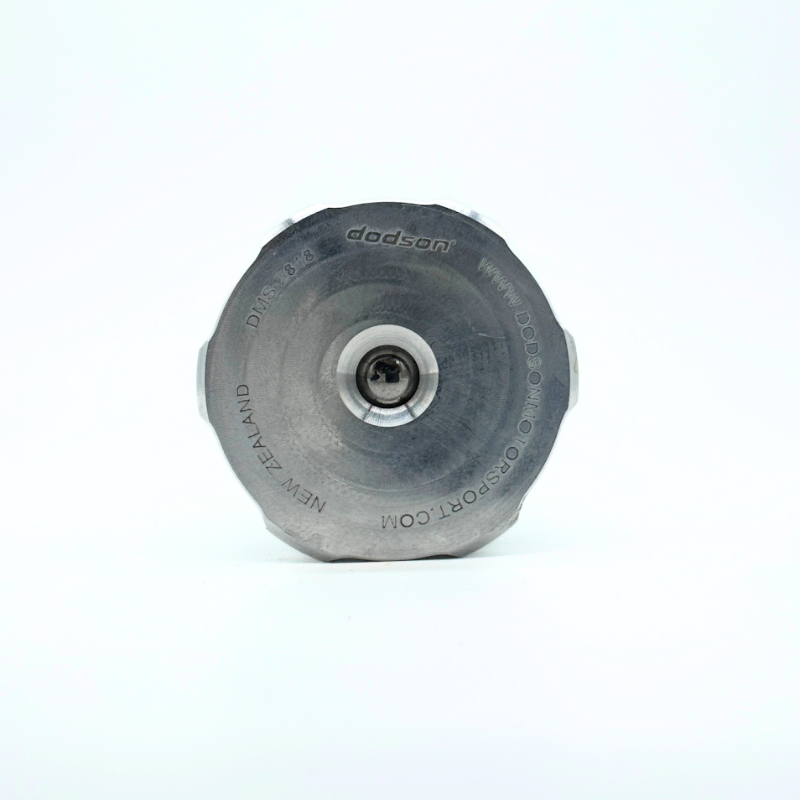 Load image into Gallery viewer, Dodson Motorsport DL800/DQ500 Reusable Metal Mesh Canister Transmission Filter
